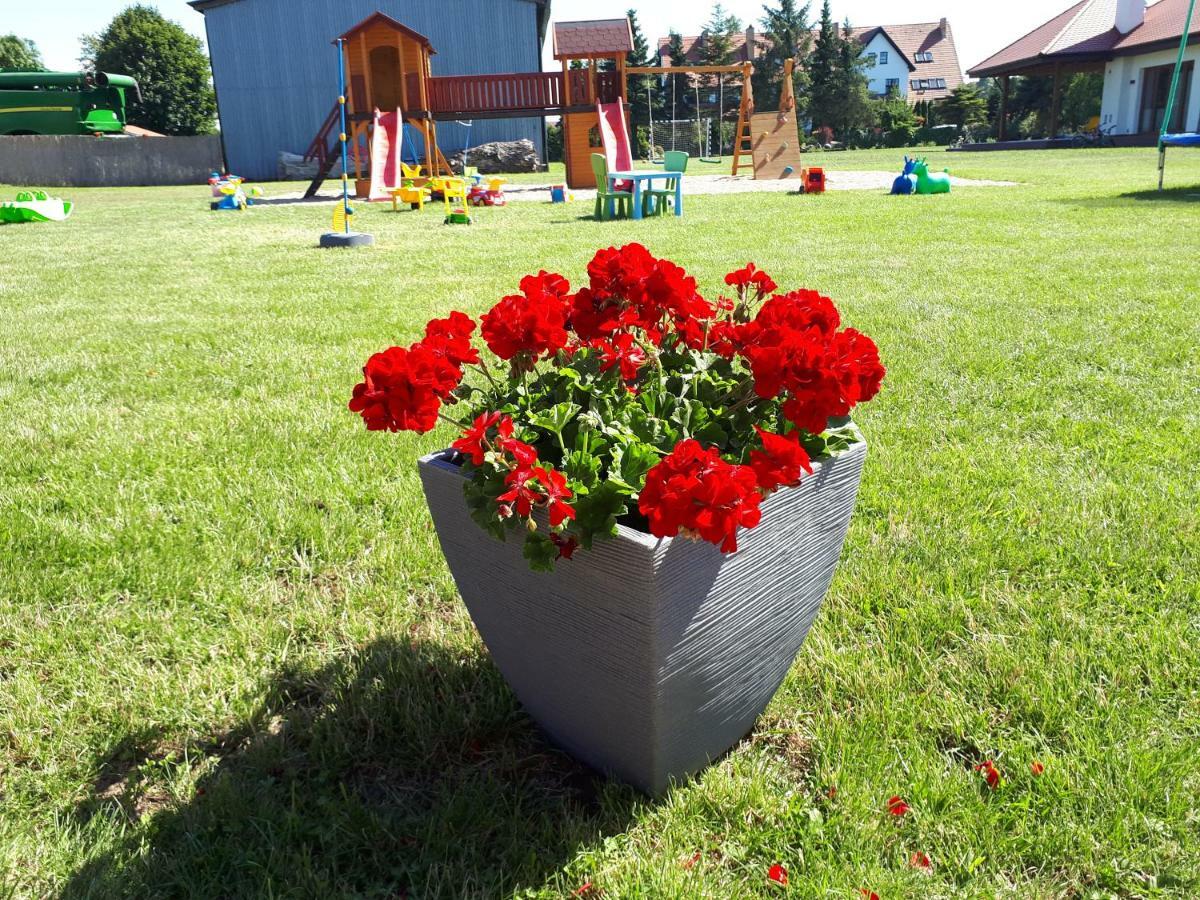Domki Letniskowe Rekinek Ujście-Darłowskie Exterior foto